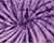 Spider Purple