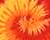 Blaze
