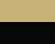 Vegas Gold/ Black