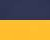 Navy/ Gold
