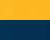 Gold/ Navy