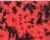 Crystal Red/ Black