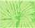 Spider Lime