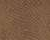 Brown Reptile