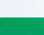 White/ Kelly Green